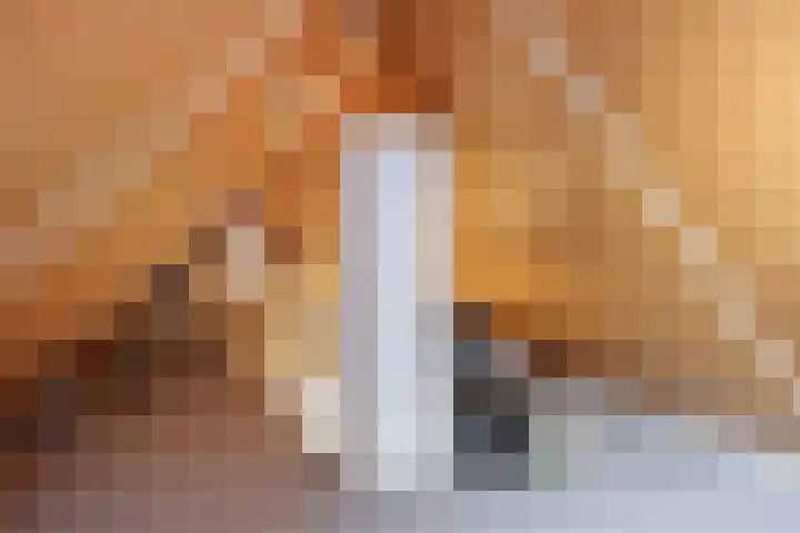 Vallaat 25 Tolbert thumbnail 32