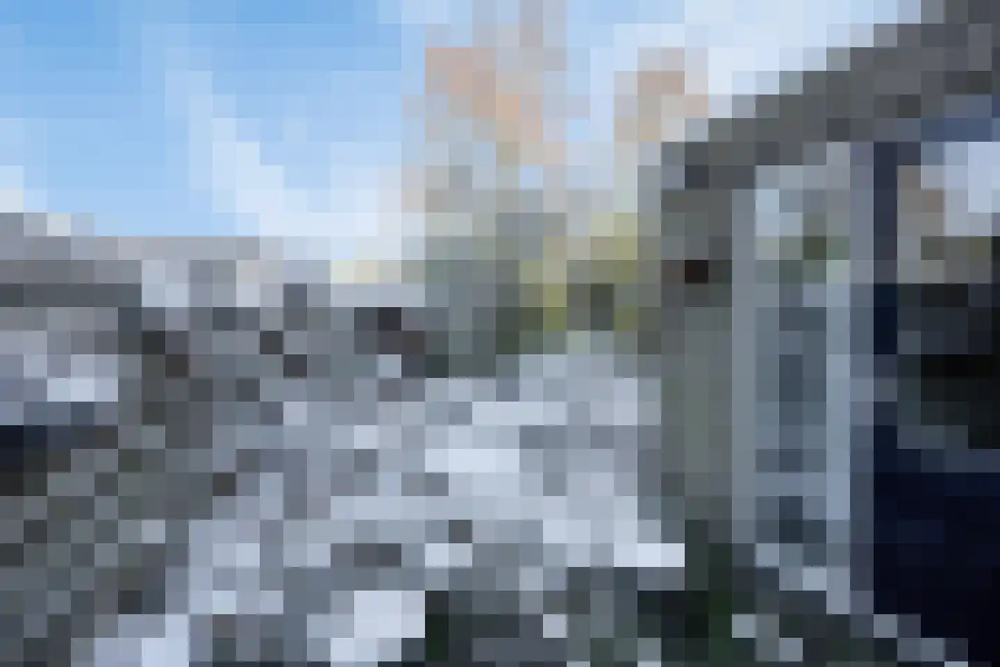 Vallaat 25 Tolbert thumbnail 33