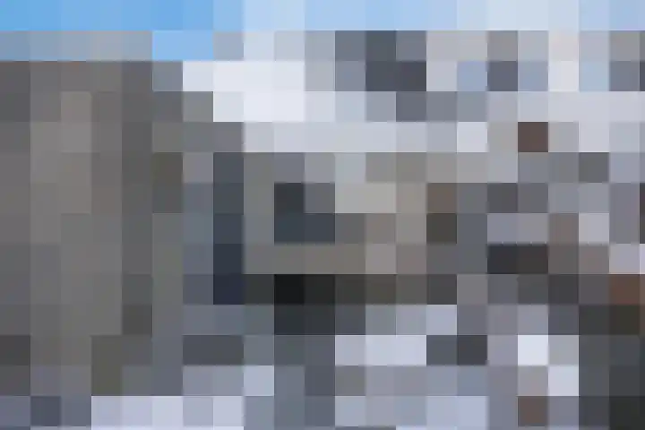 Vallaat 25 Tolbert thumbnail 34