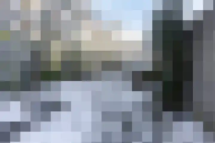 Vallaat 25 Tolbert thumbnail 35