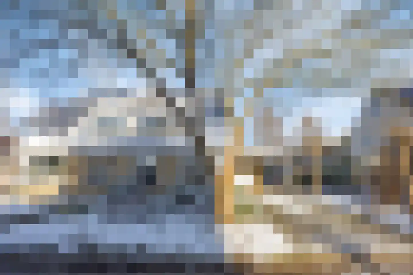 Vallaat 25 Tolbert thumbnail 5