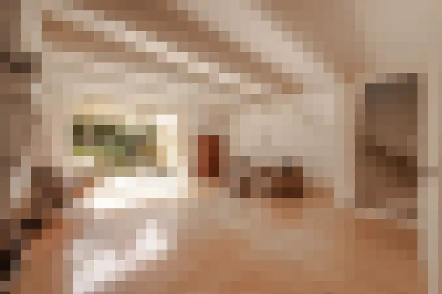 Vallaat 28 Makkum thumbnail 4