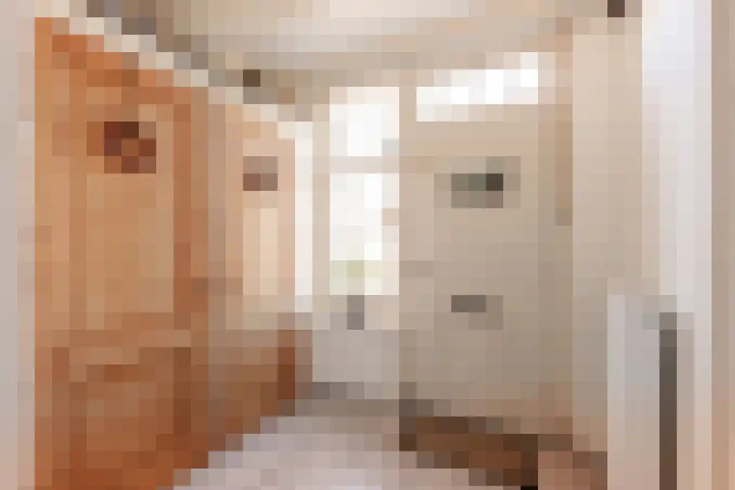 Vallaat 28 Makkum thumbnail 6