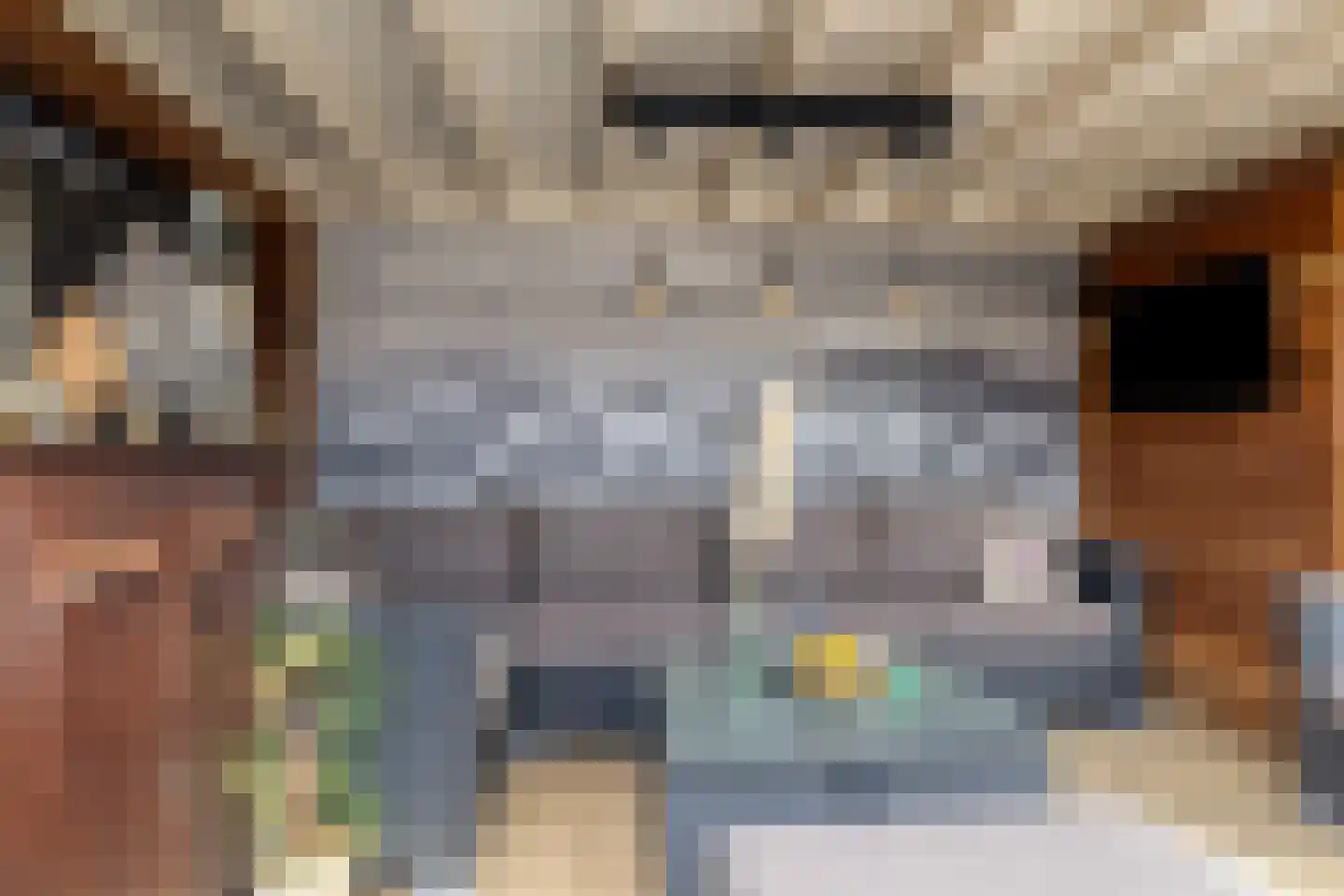 Valleilaan 23 Scherpenzeel thumbnail 42