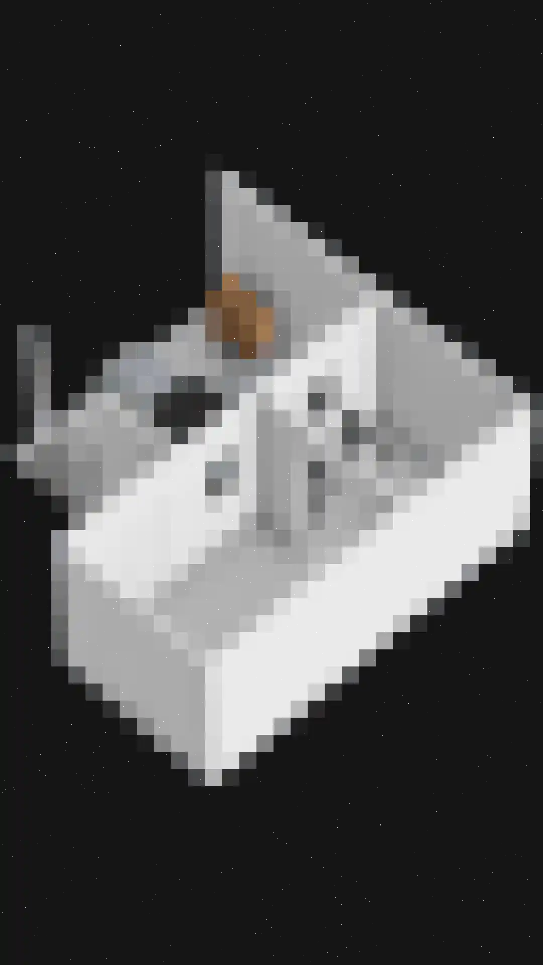 Valleilaan 23 Scherpenzeel thumbnail 56
