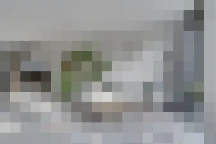 Valleilaan 46 Woudenberg thumbnail 12
