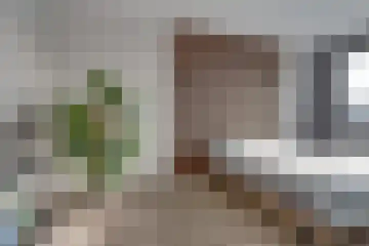 Valleilaan 46 Woudenberg thumbnail 27