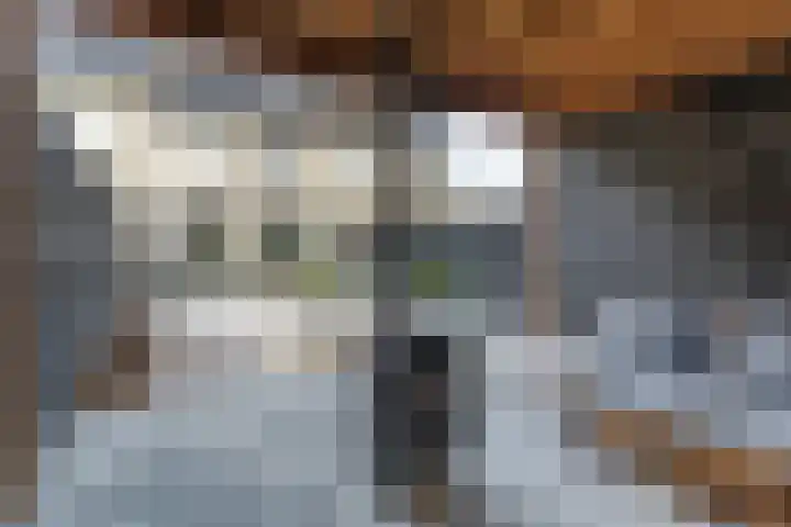 Valleilaan 46 Woudenberg thumbnail 5