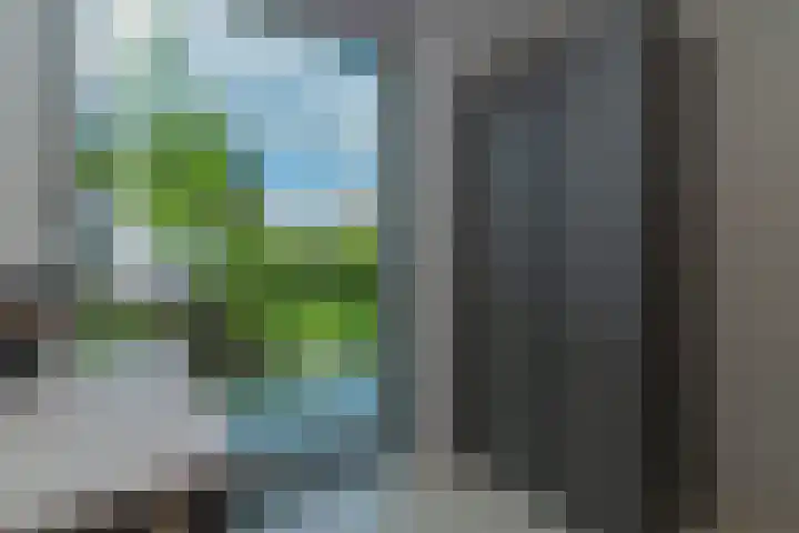 Valleilaan 48 Woudenberg thumbnail 14