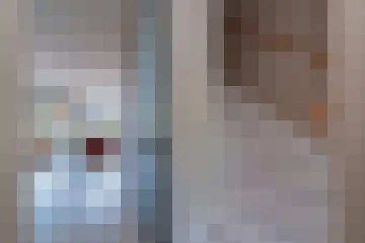 Valleilaan 48 Woudenberg thumbnail 6