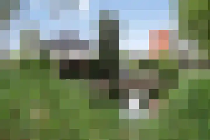 Valleistraat 127 Veenendaal thumbnail 65