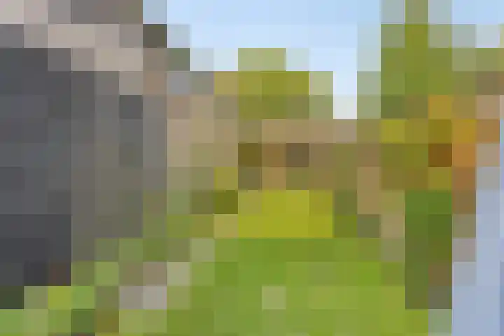 Valleistraat 71 Veenendaal thumbnail 31