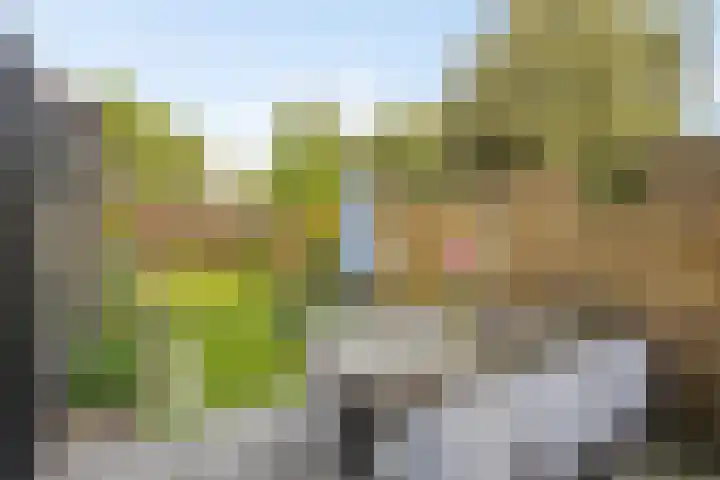 Valleistraat 71 Veenendaal thumbnail 5