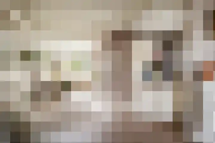 Valleistraat 99 Veenendaal thumbnail 8