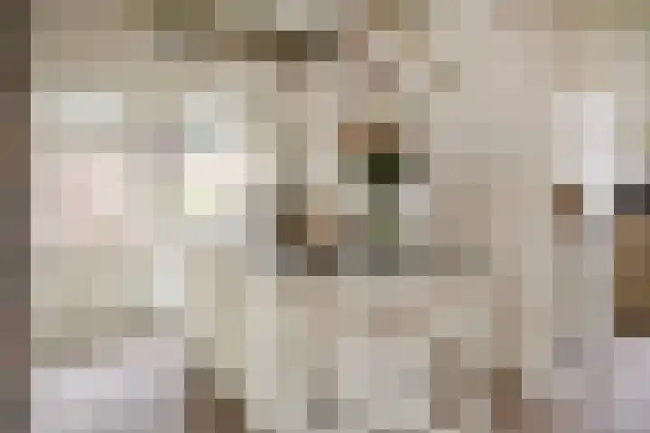 Valleistraat 99 Veenendaal thumbnail 9