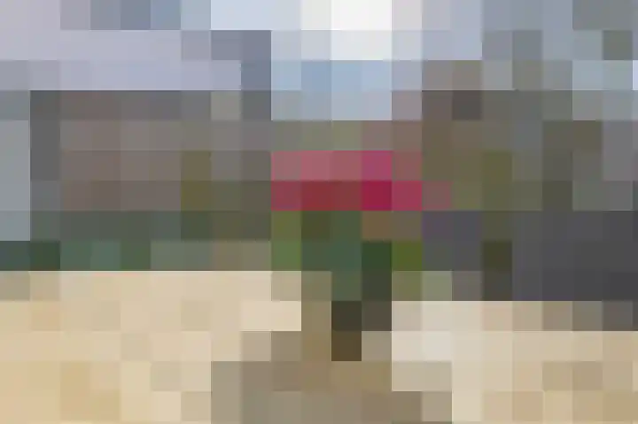 Vallestap 34 Nuenen thumbnail 42