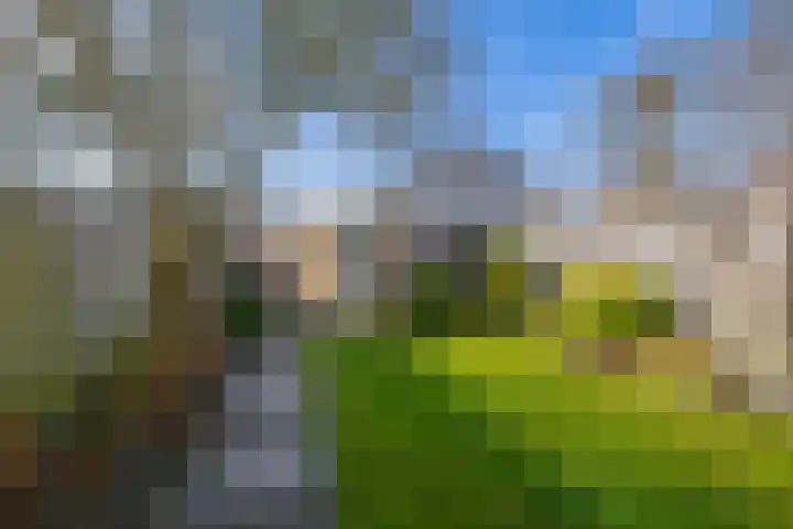 Vallestap 34 Nuenen thumbnail 43