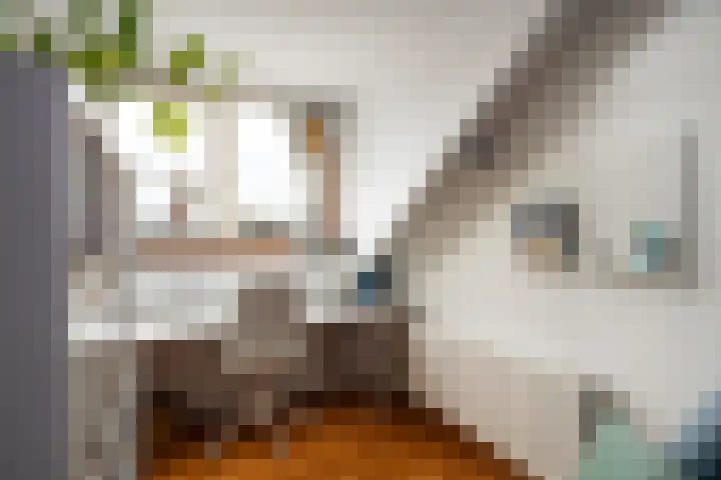 Vallettastraat 20 Rotterdam thumbnail 25