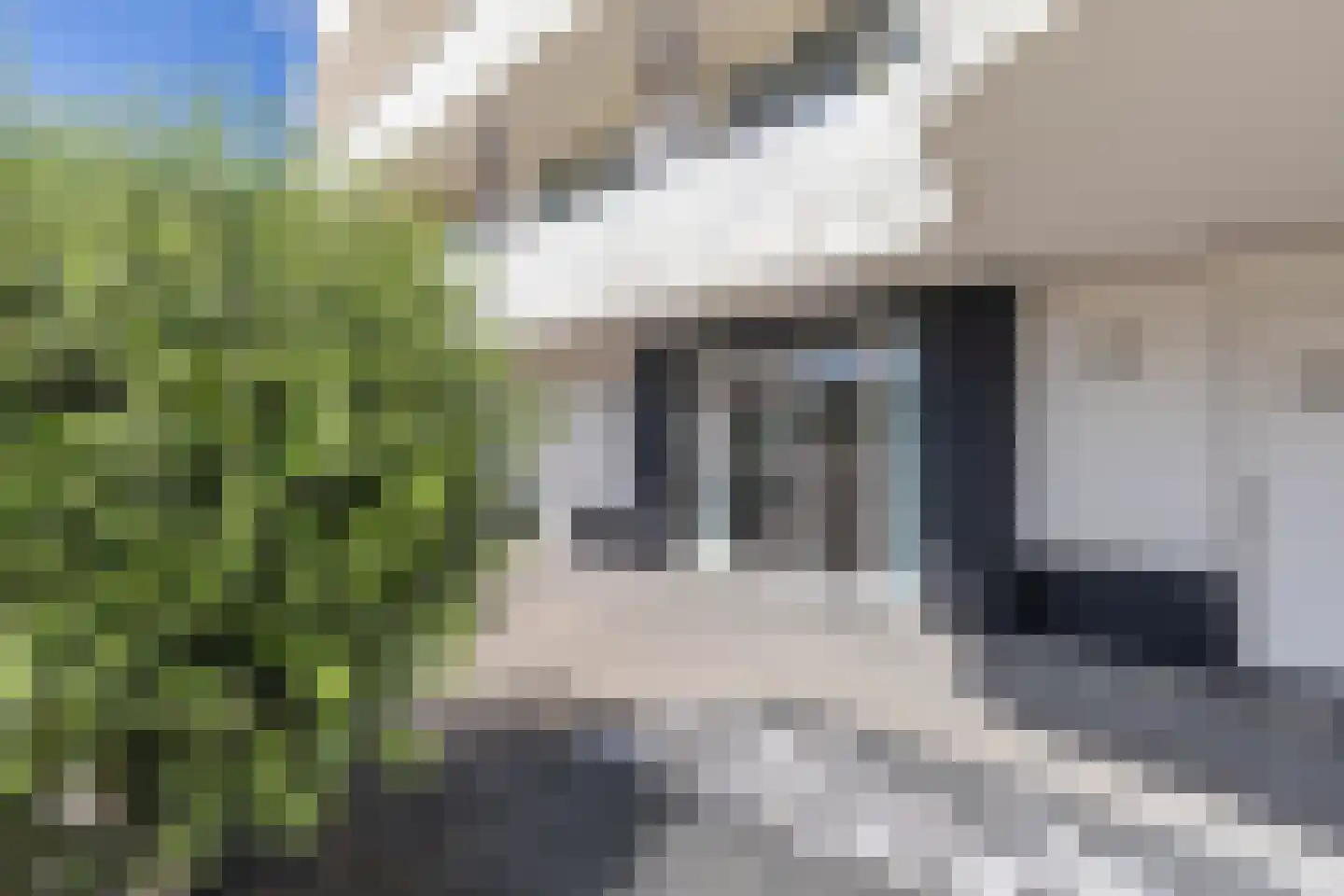 Vallumstraat 119 Naaldwijk thumbnail 21