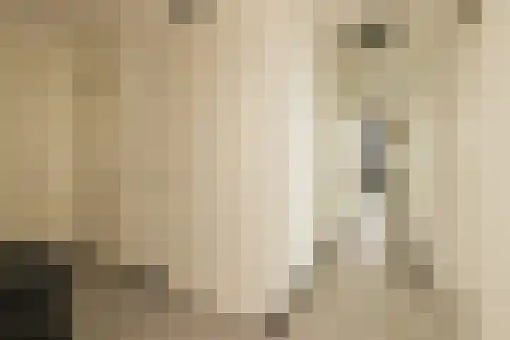 Vallumstraat 129 Naaldwijk thumbnail 6