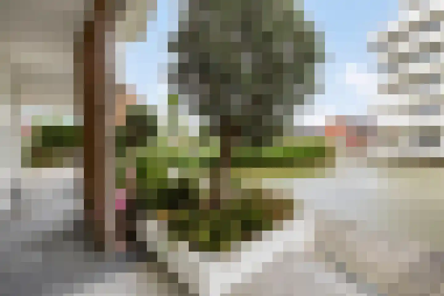 Vallumstraat 140 Naaldwijk thumbnail 13