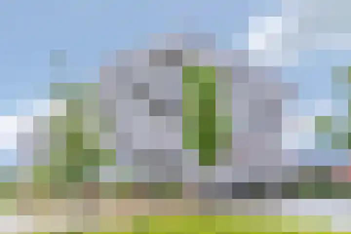 Vallumstraat 150 Naaldwijk thumbnail 26