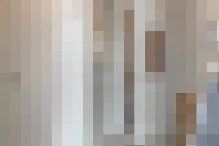 Vallumstraat 150 Naaldwijk thumbnail 8