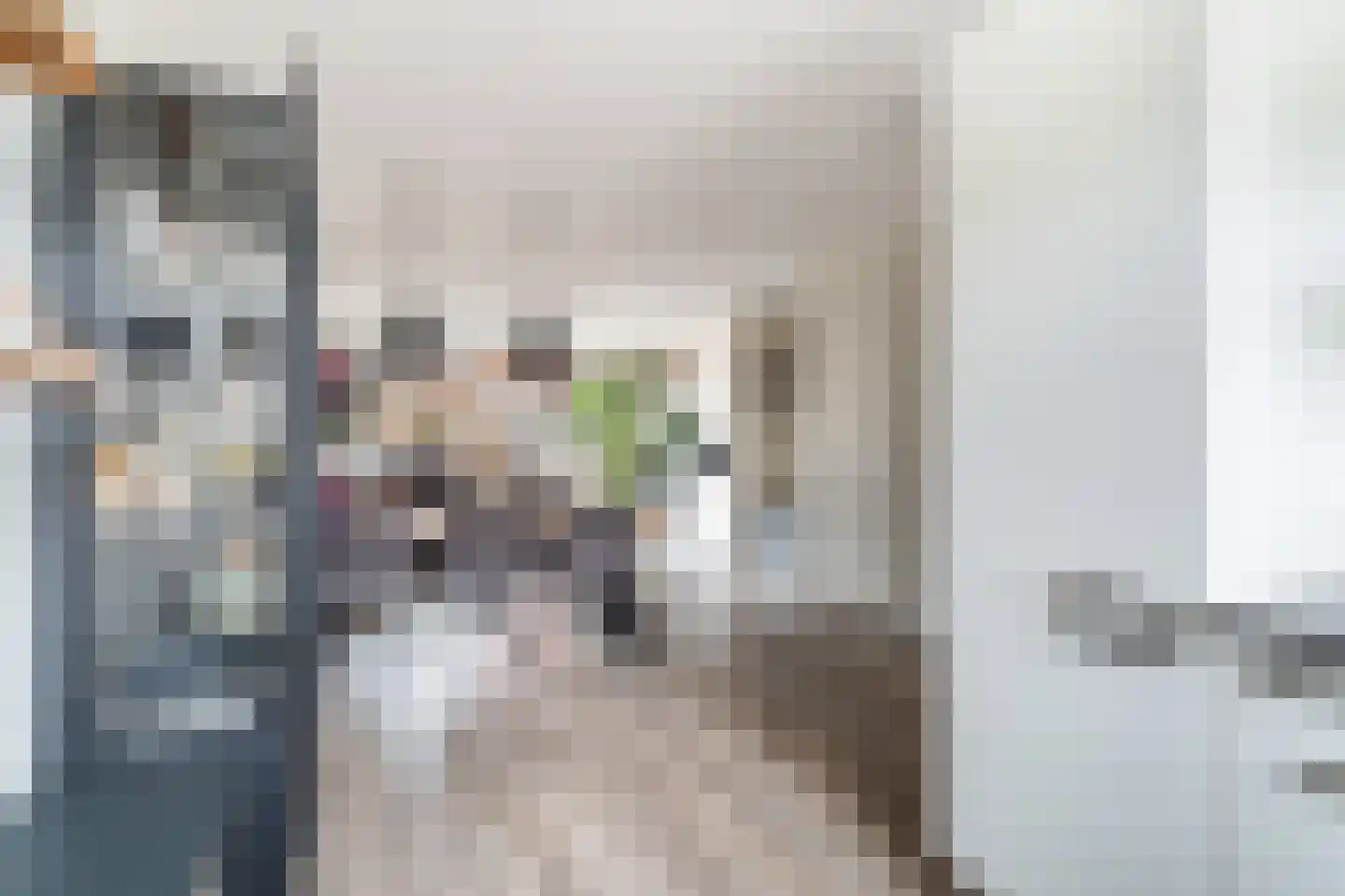 Vallumstraat 25 Naaldwijk thumbnail 13