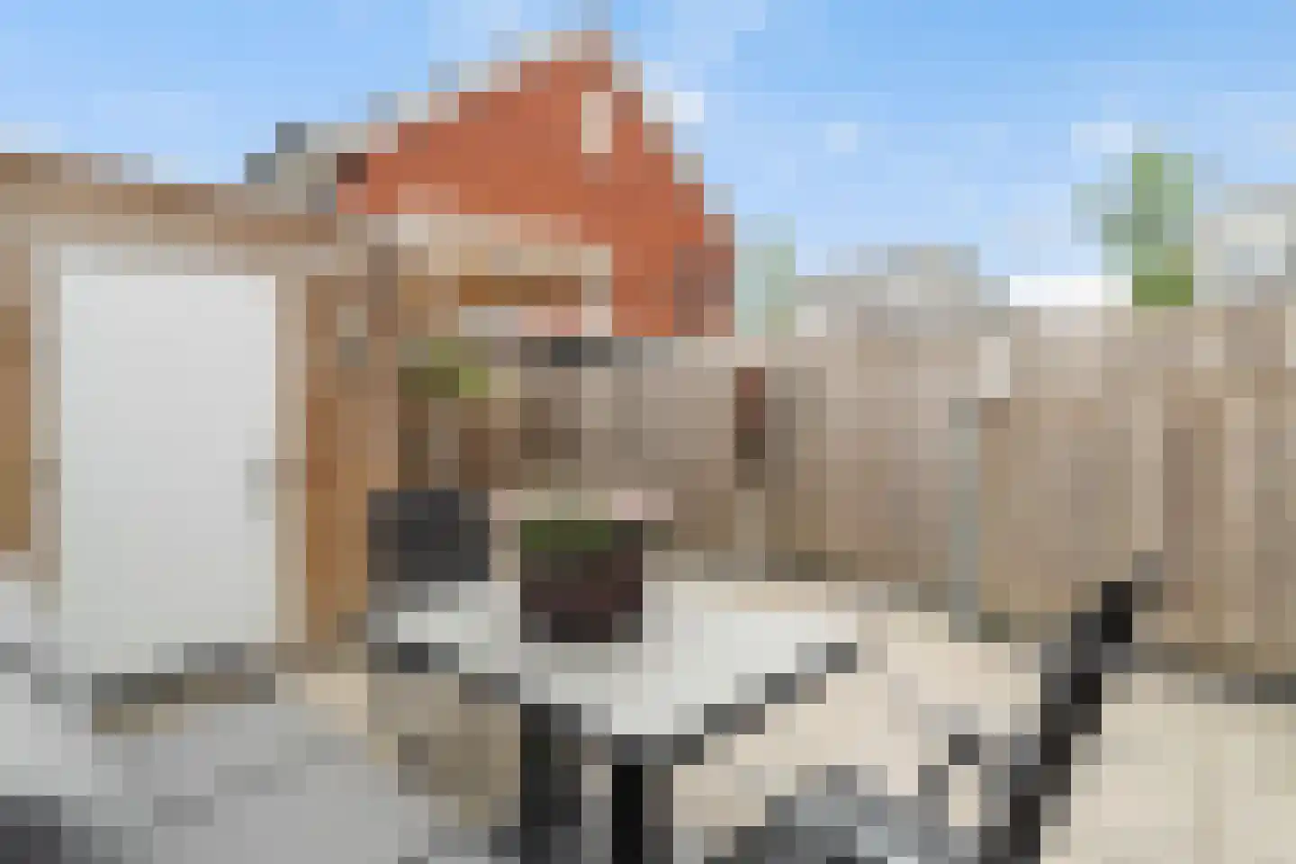 Vallumstraat 25 Naaldwijk thumbnail 17