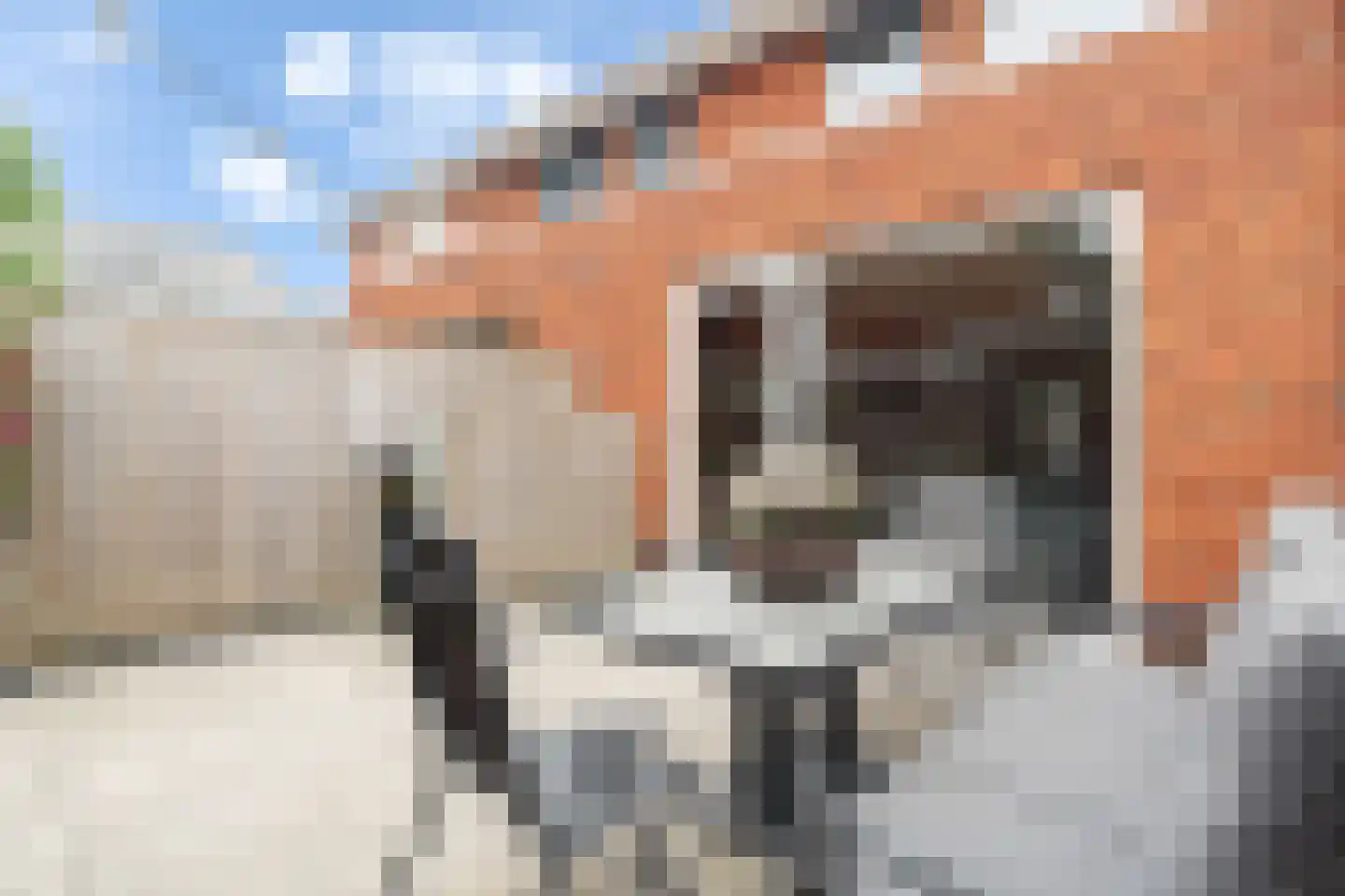Vallumstraat 25 Naaldwijk thumbnail 19