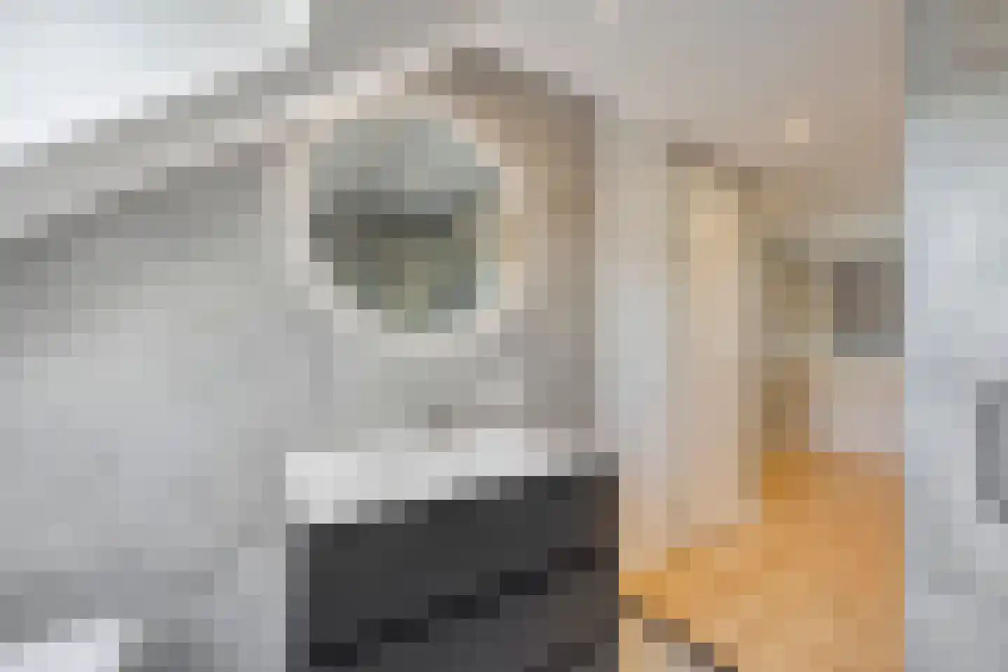 Vallumstraat 3 Naaldwijk thumbnail 25