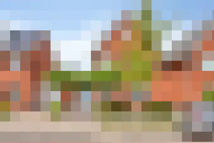 Vallumstraat 39 Naaldwijk thumbnail 33