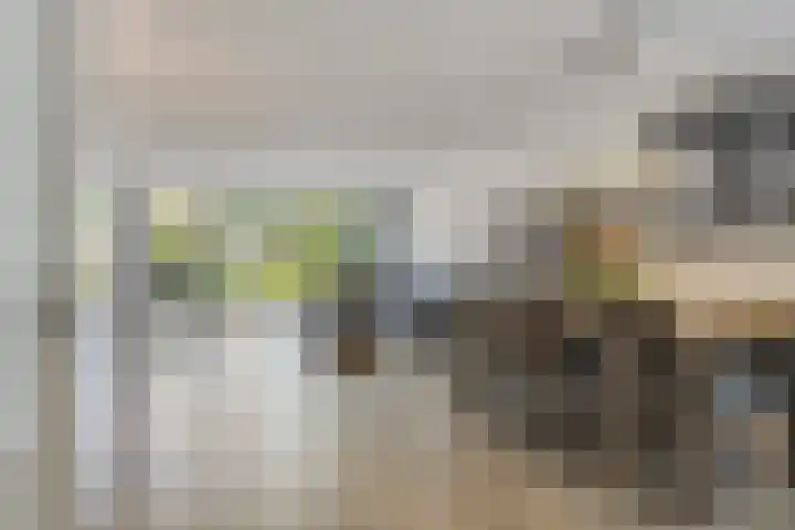 Vallumstraat 39 Naaldwijk thumbnail 5