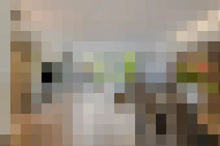 Vallumstraat 39 Naaldwijk thumbnail 6