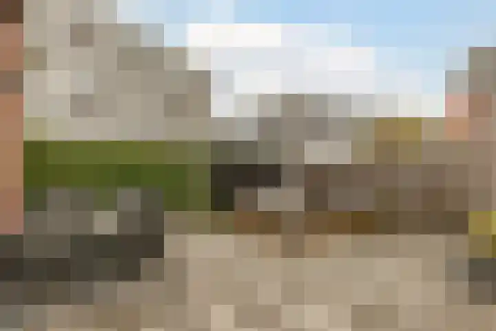 Vallumstraat 71 Naaldwijk thumbnail 24
