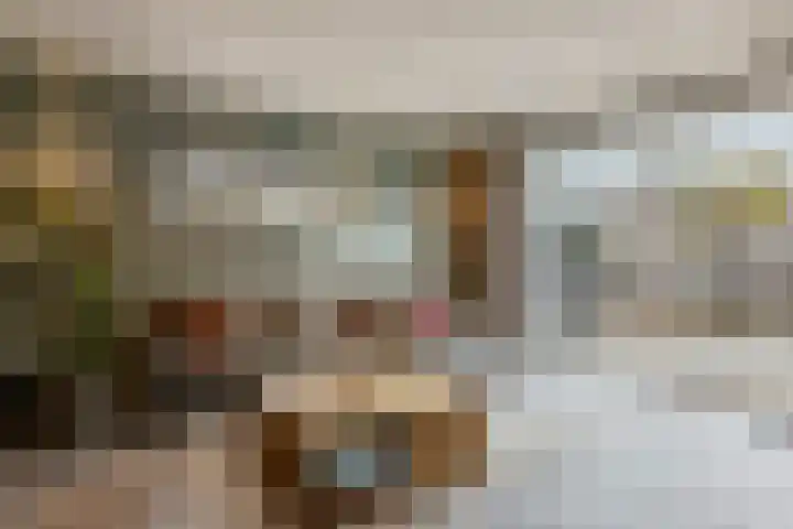 Vallumstraat 71 Naaldwijk thumbnail 5