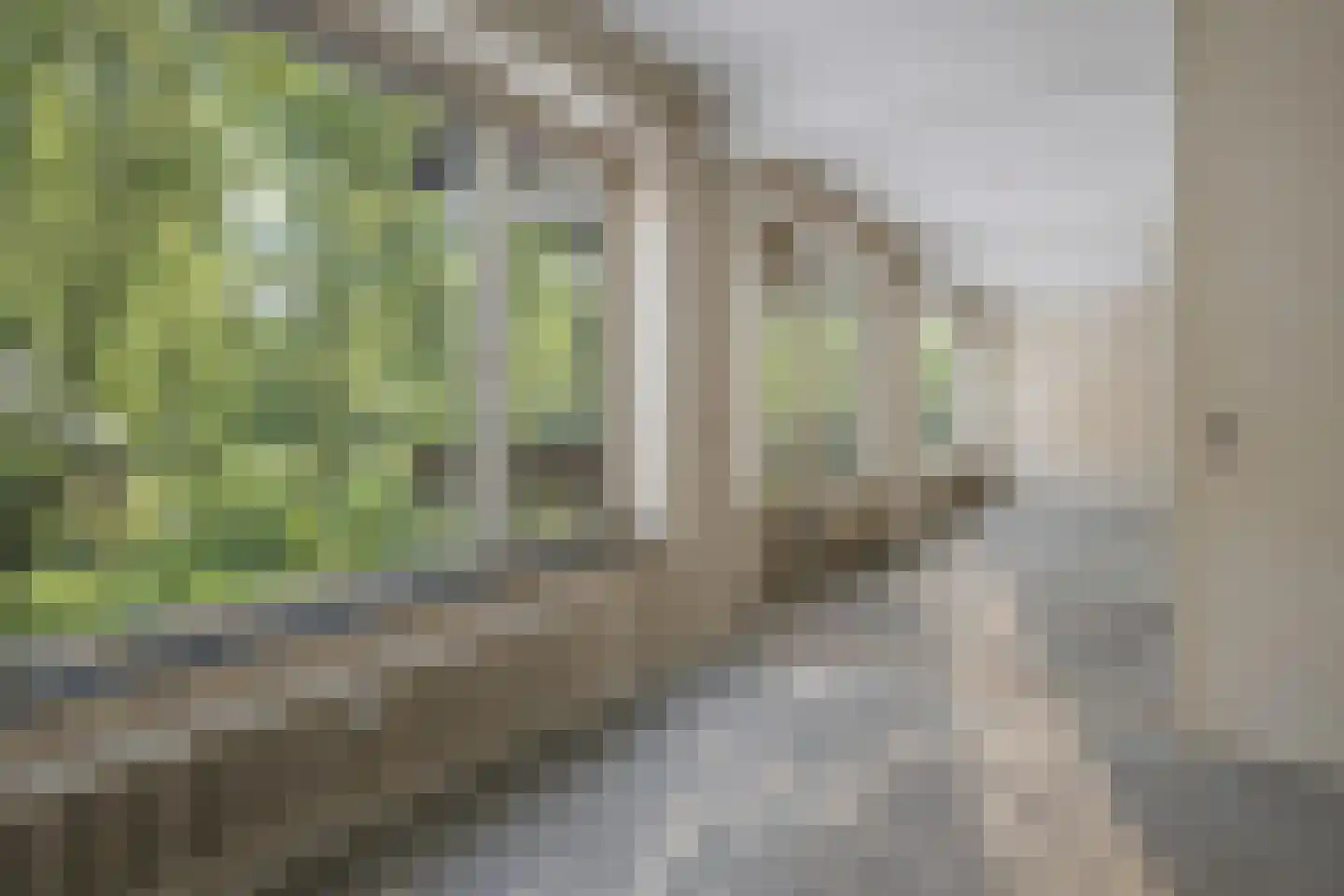 Valparaisodreef 123 Utrecht thumbnail 14