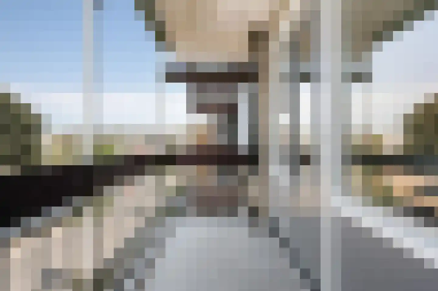 Valparaisodreef 99 Utrecht thumbnail 16