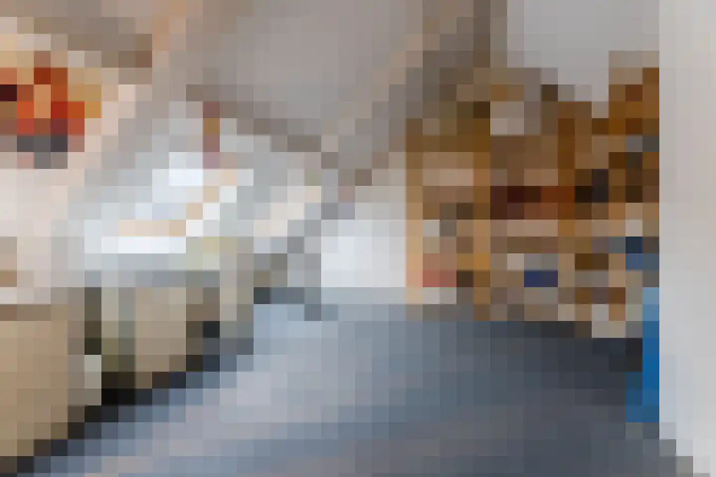 Valreep 10 Veenendaal thumbnail 19