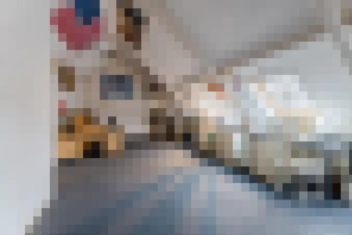 Valreep 10 Veenendaal thumbnail 20