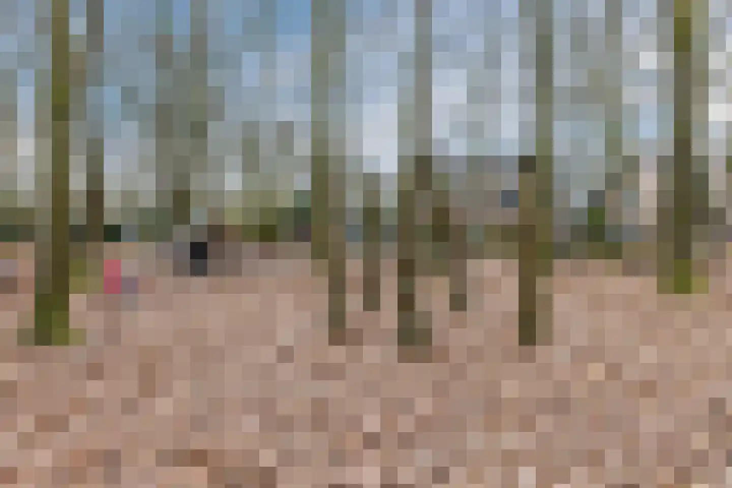 Valreep 10 Veenendaal thumbnail 28