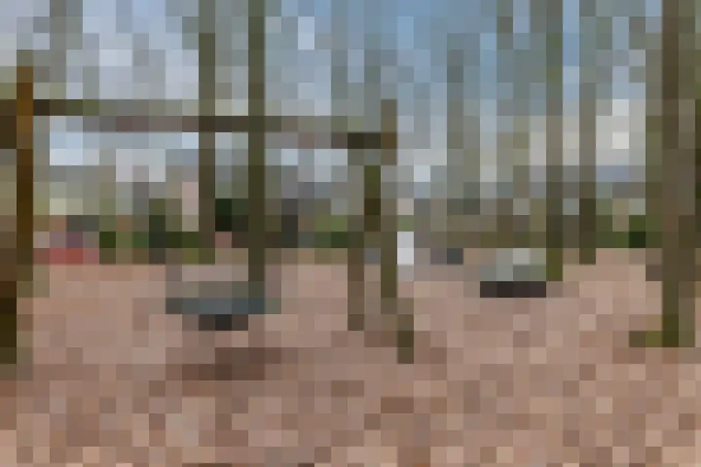 Valreep 10 Veenendaal thumbnail 29