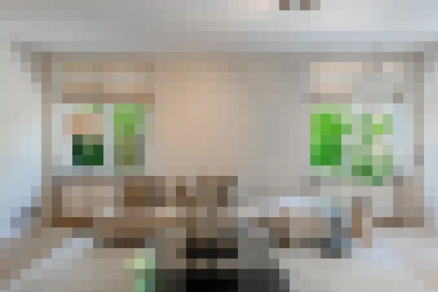 Valreep 101 Amstelveen thumbnail 12