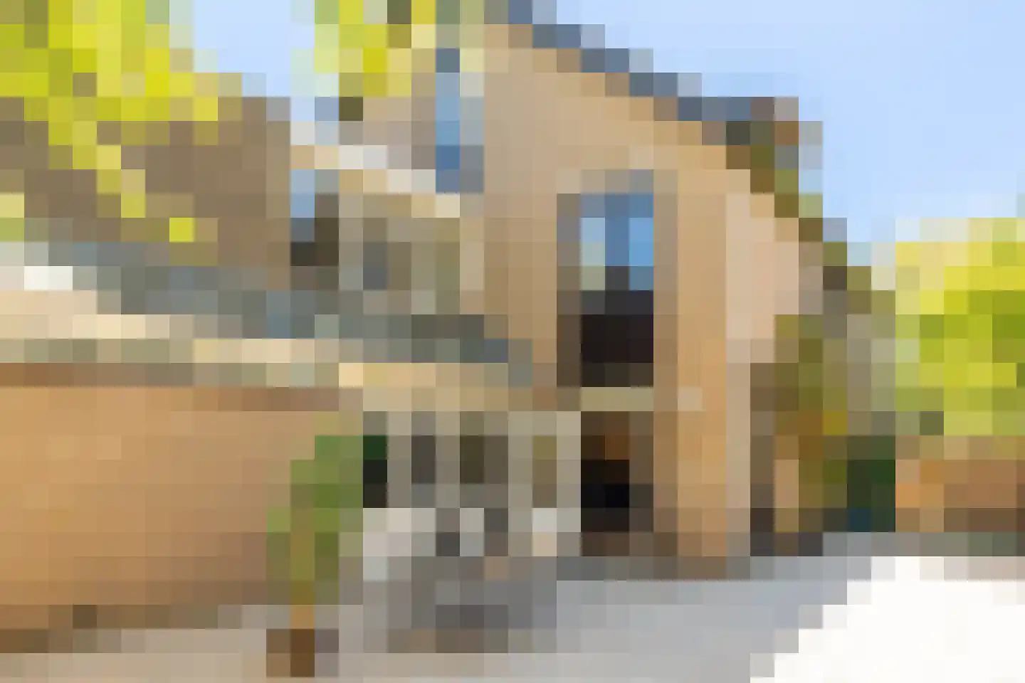 Valreep 101 Amstelveen thumbnail 39