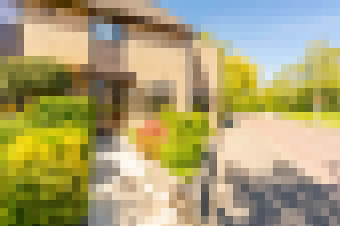 Valreep 101 Amstelveen thumbnail 5