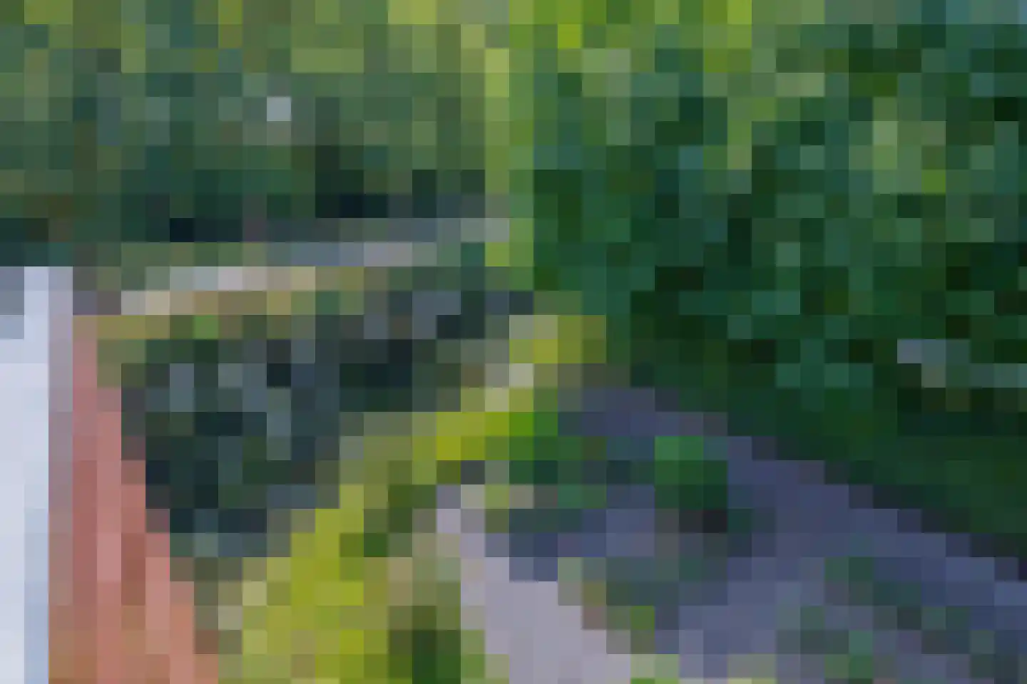 Valreep 11 Stadskanaal thumbnail 33