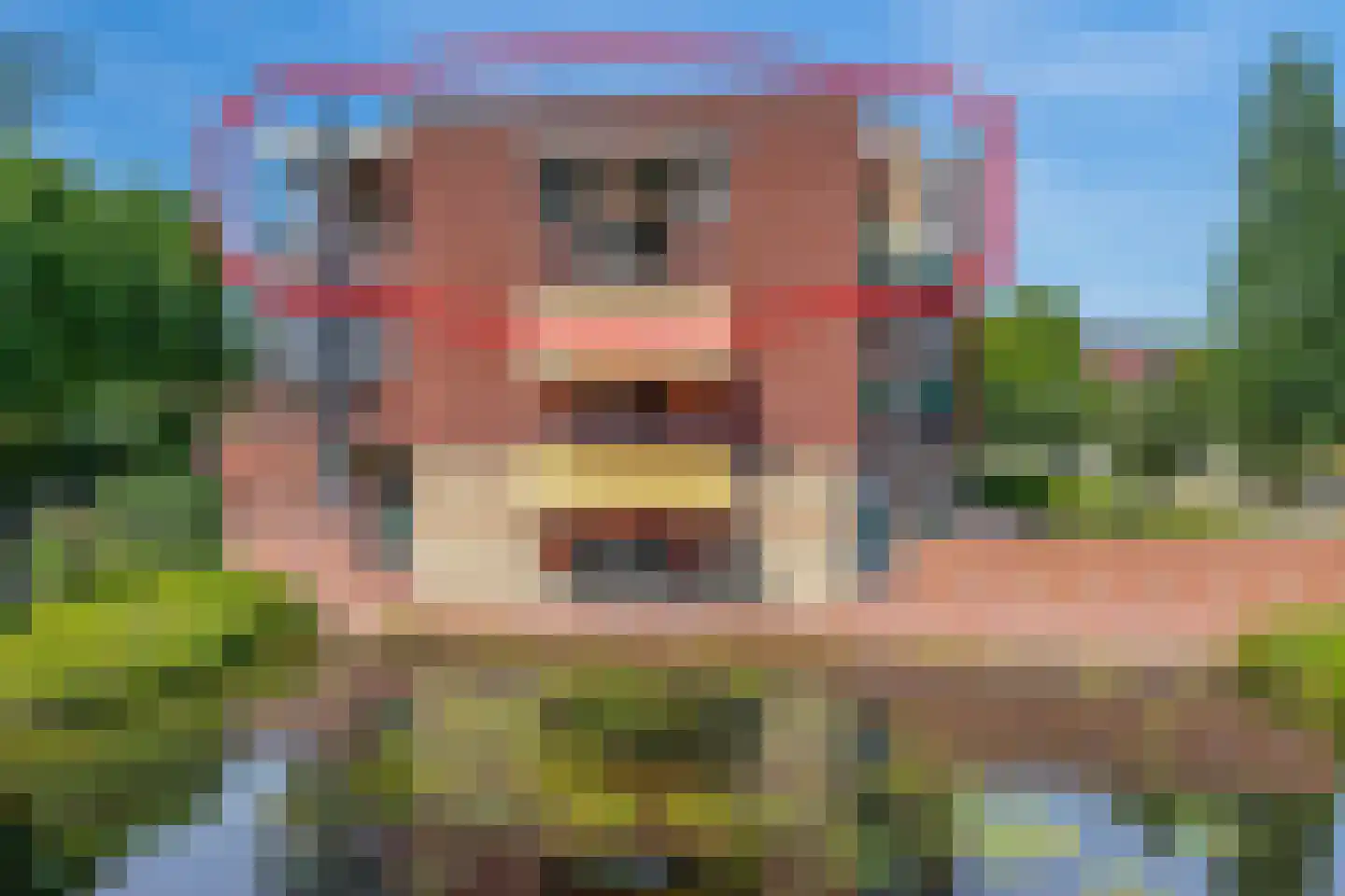 Valreep 11 Stadskanaal thumbnail 6