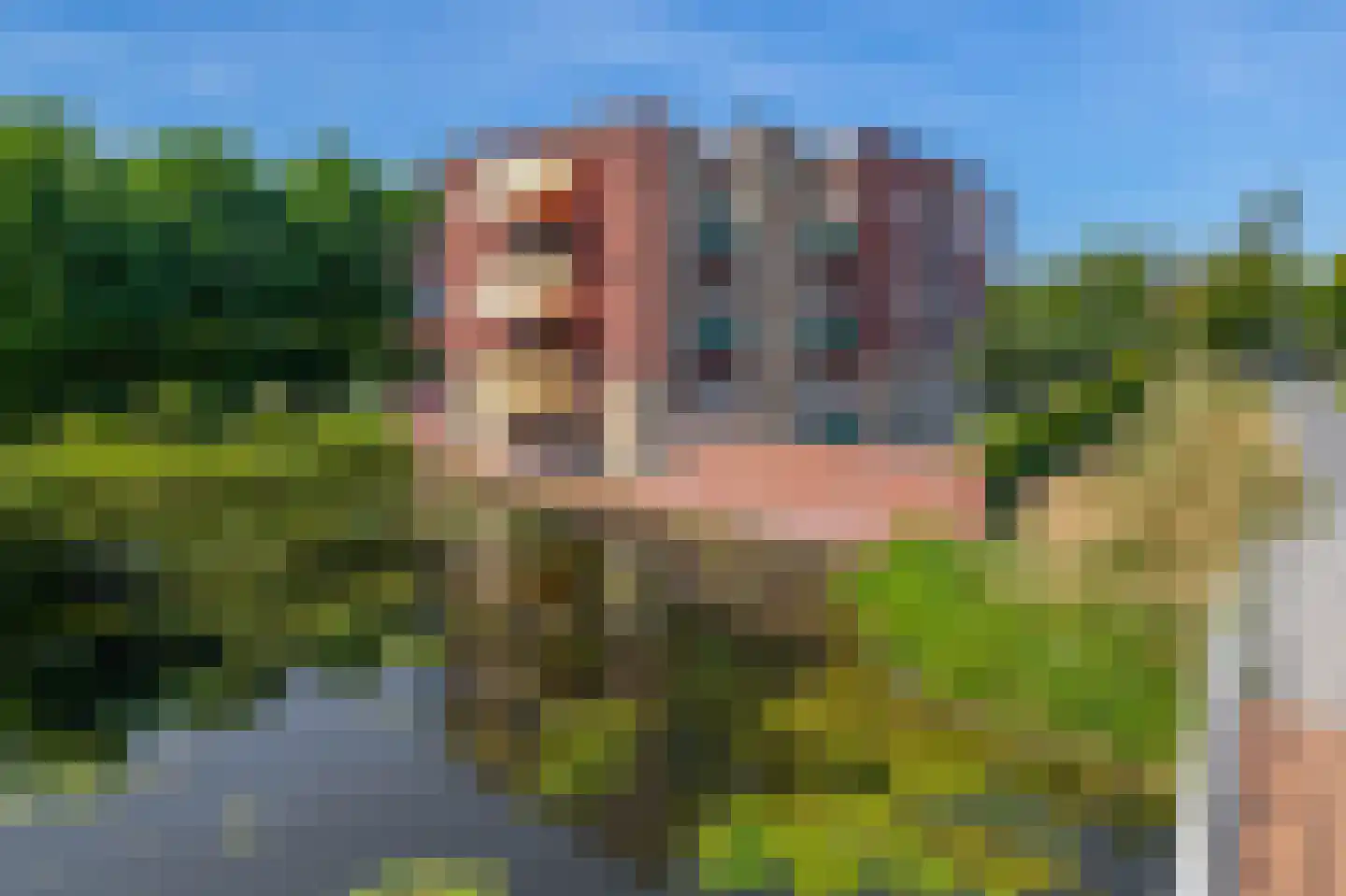 Valreep 11 Stadskanaal thumbnail 7
