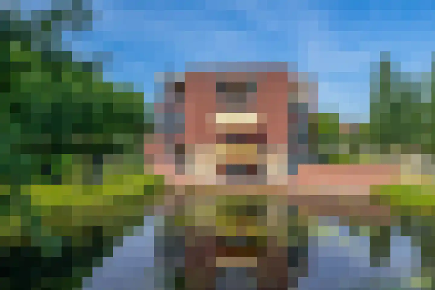 Valreep 11 Stadskanaal thumbnail 9