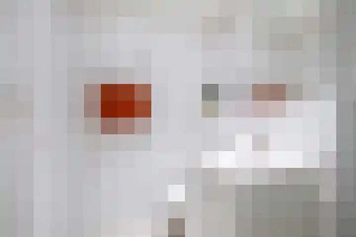 Valreep 20 A Amstelveen thumbnail 24
